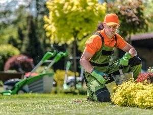 Landscaping design