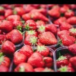 clem-onojeghuo-eCre0iMGtEA-unsplash (1)